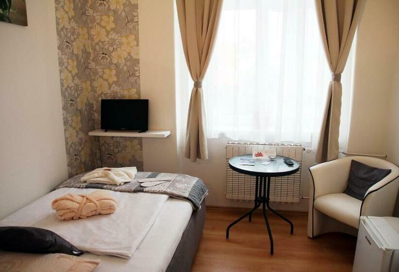 标准单人间, Penzion Alfa Poděbrady