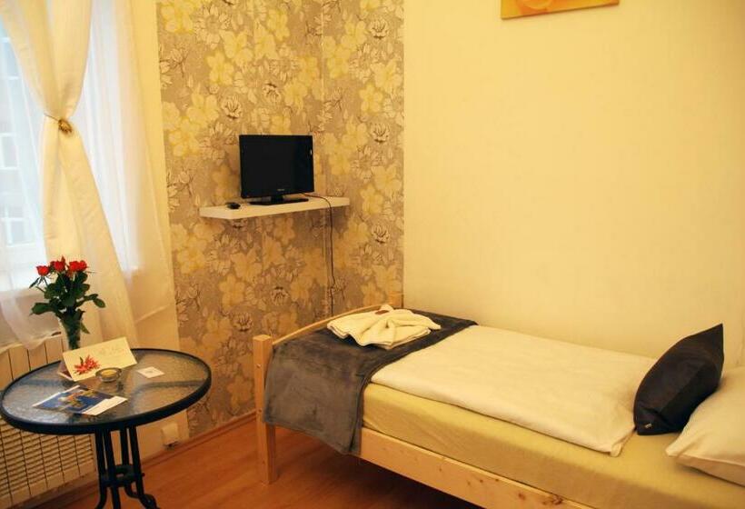 标准单人间, Penzion Alfa Poděbrady