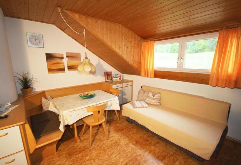 Апартаменты 1 Спальня, Appartments Neuhof