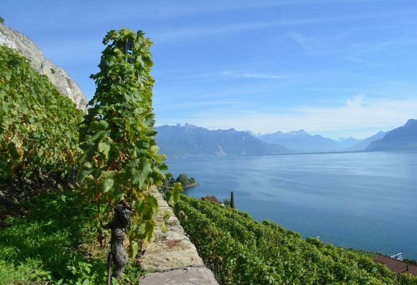 Апартаменты 1 Спальня, Domaine Du Burignon