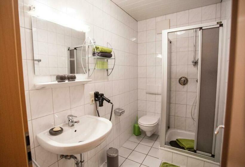Номер Стандарт с Террасой, Pension Haus Am Walde