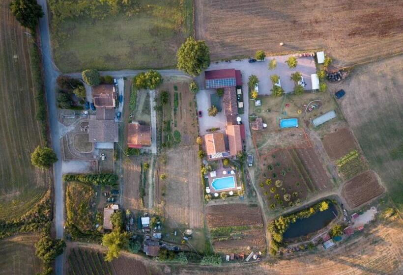 Номер Стандарт, Agriturismo Consalvi Valentina