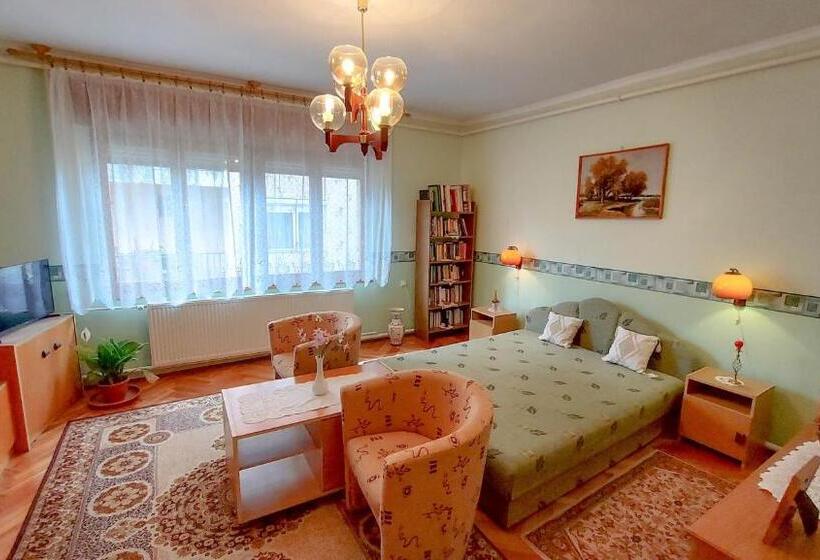 Апартаменты 2 Спальни, Molnár Vendégház