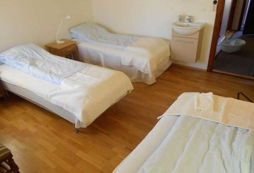 اتاق خانوادگی با سرویس بهداشتی مشترک, Nes Guesthouse