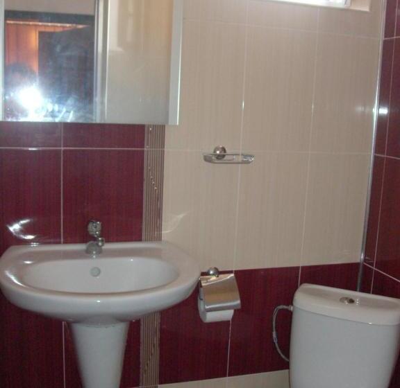 Апартаменты 1 Спальня с Террасой, Guest House Nedelchevi