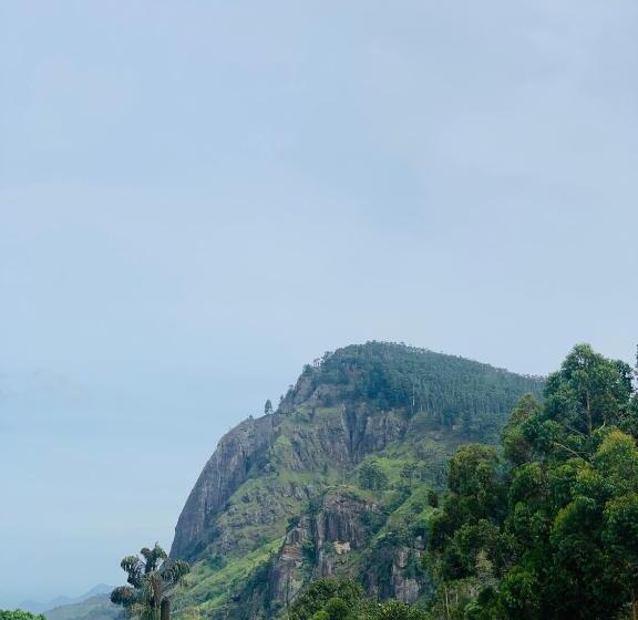 Quarto Deluxe com Vistas, The Rock Face