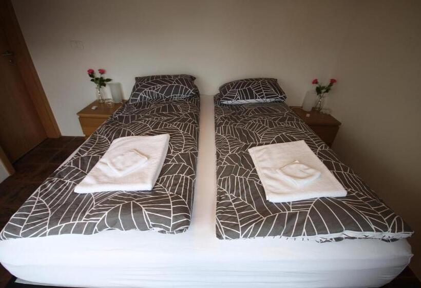 اتاق استاندارد با سرویس بهداشتی مشترک, Hamrahlíð 9 Guesthouse