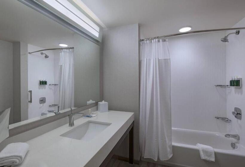 Номер Стандарт, Courtyard St. Louis Brentwood
