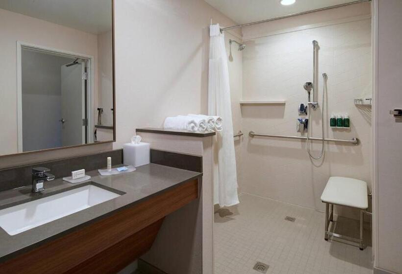 스탠다드 룸, Fairfield Inn & Suites By Marriott Midland