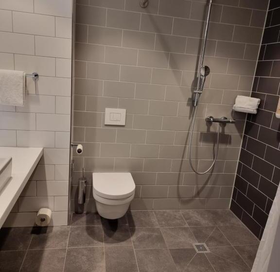 스탠다드 룸, Holiday Inn Express   Wiesbaden, An Ihg