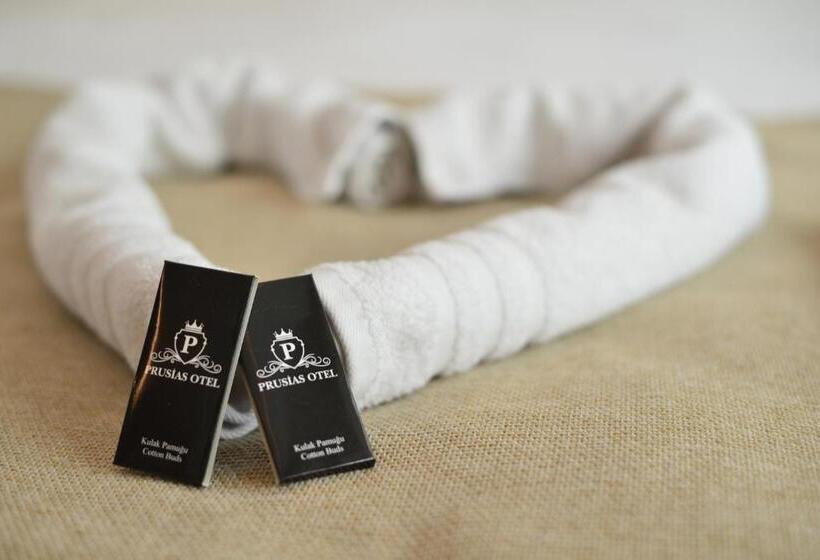 اتاق استاندارد یک نفره, Prusias Otel