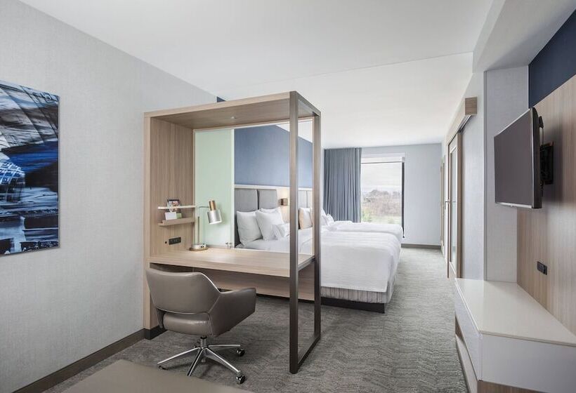 Люкс, Springhill Suites Madison