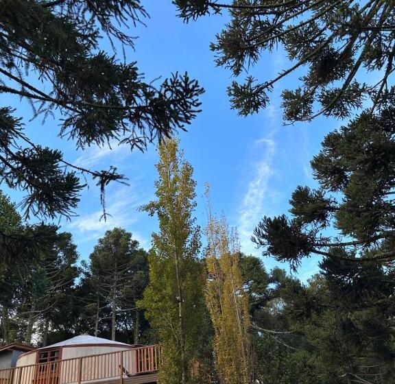 Люкс Вид на Сад, Solar Do Oriente   Yurt Ecovillage