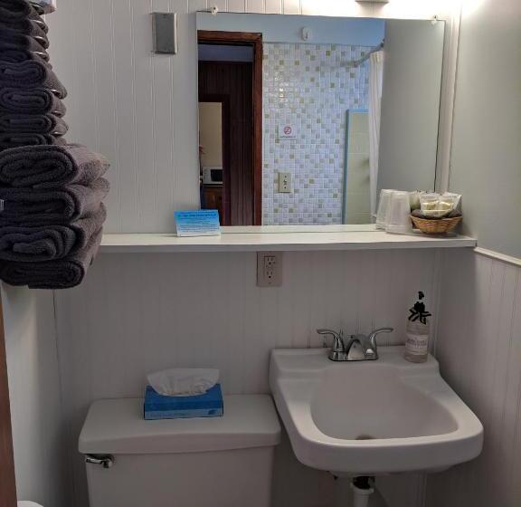 Номер Deluxe, Lakeview Motel