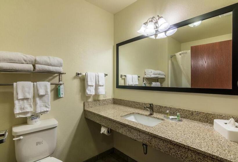 Люкс Deluxe Кровать Кинг, Cobblestone Inn & Suites   Soda Springs