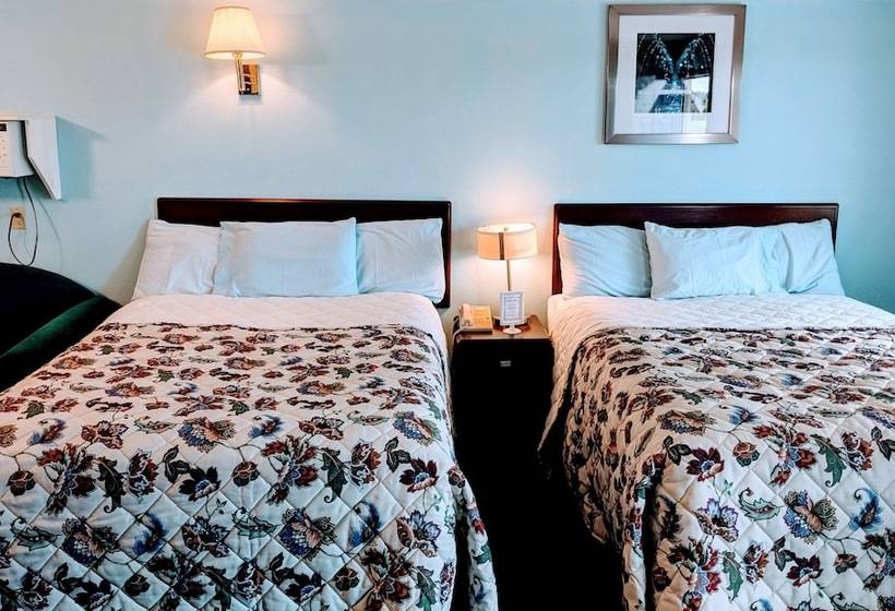 带2个双人床的标准工作室, Executive Inn