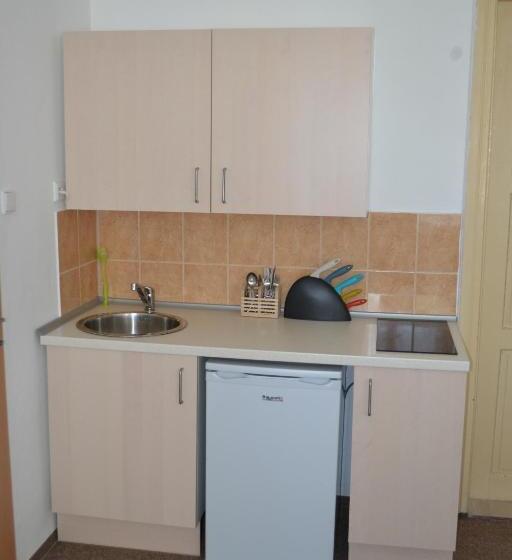 Апартаменты 1 Спальня, Hostel U Sv. štěpána