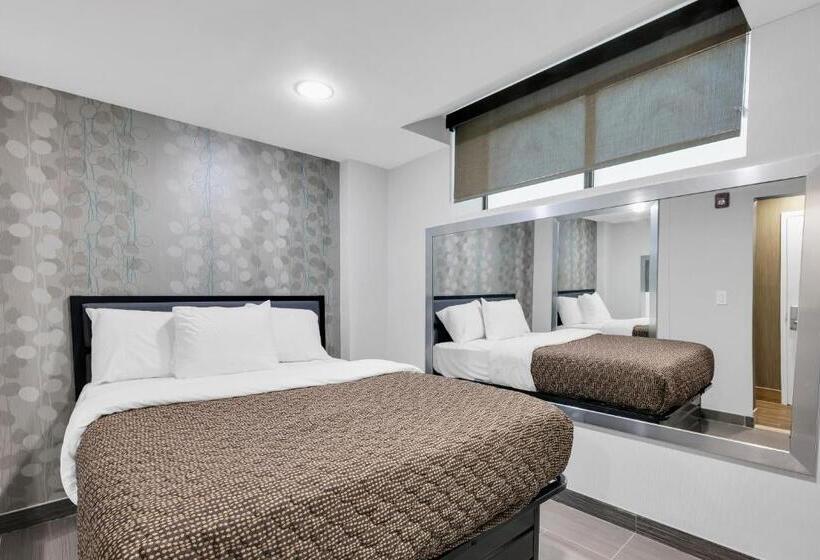 Quarto Estandar, Mint Jfk Airport