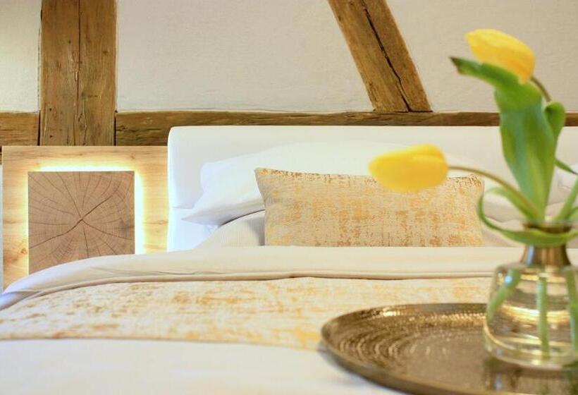 Номер Deluxe, D & S Hotel & Ferienwohnungen