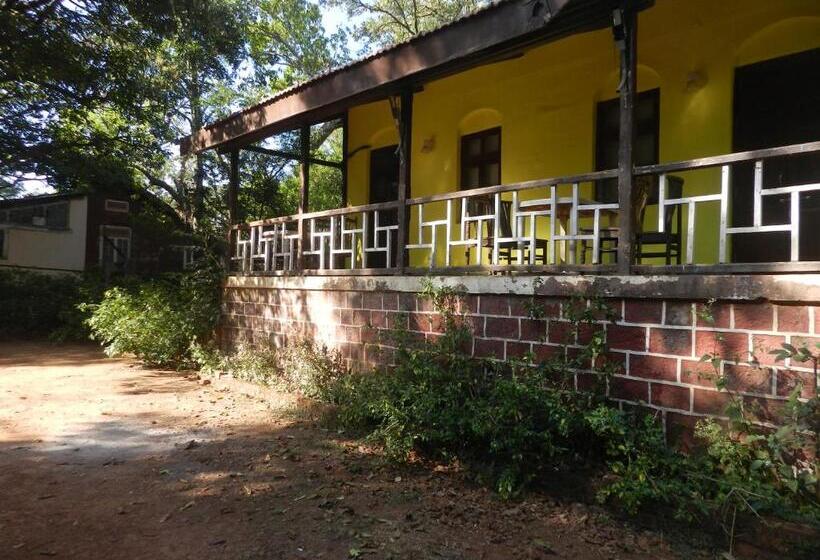 Cabana, Sayeban