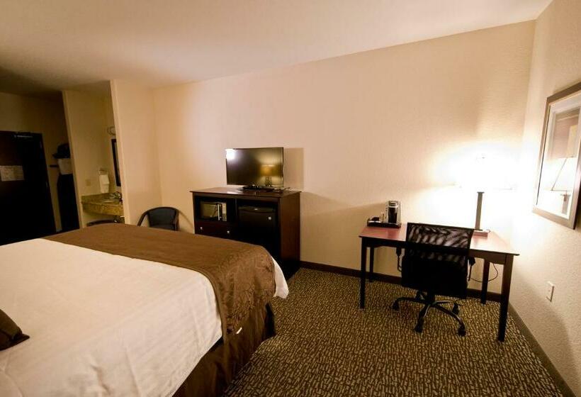 스탠다드 룸 킹사이즈 침대, Cobblestone Inn & Suites – Manchester