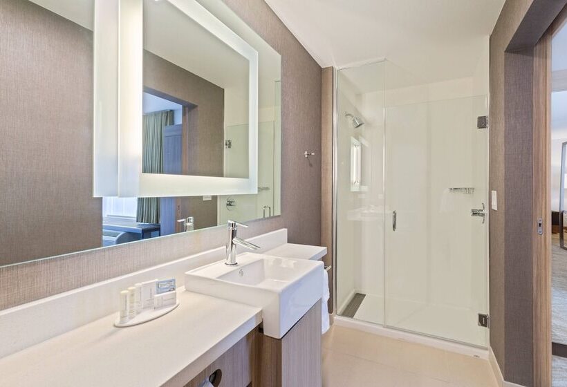 스위트, Springhill Suites By Marriott Ocala