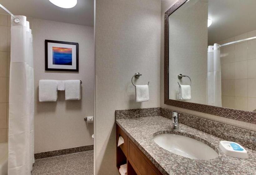 Номер Superior Кровать Кинг, Drury Inn & Suites Knoxville West
