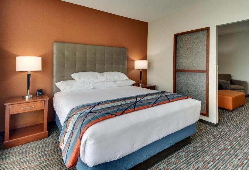 Номер Superior Кровать Кинг, Drury Inn & Suites Knoxville West