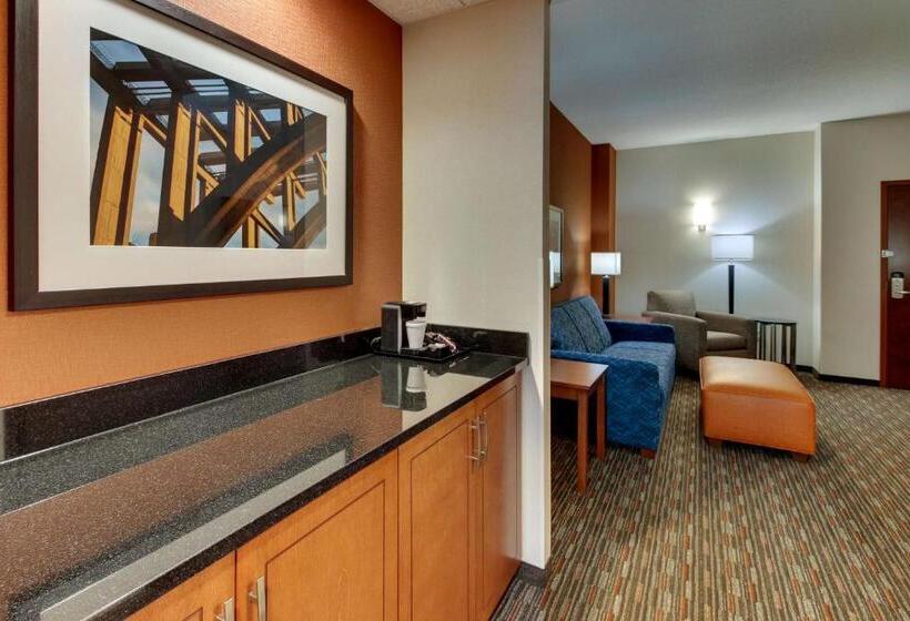 Люкс Superior, Drury Inn & Suites Knoxville West