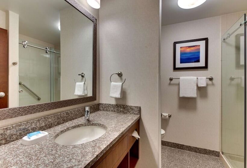 Номер Deluxe Адаптированный для Инвалидов, Drury Inn & Suites Knoxville West