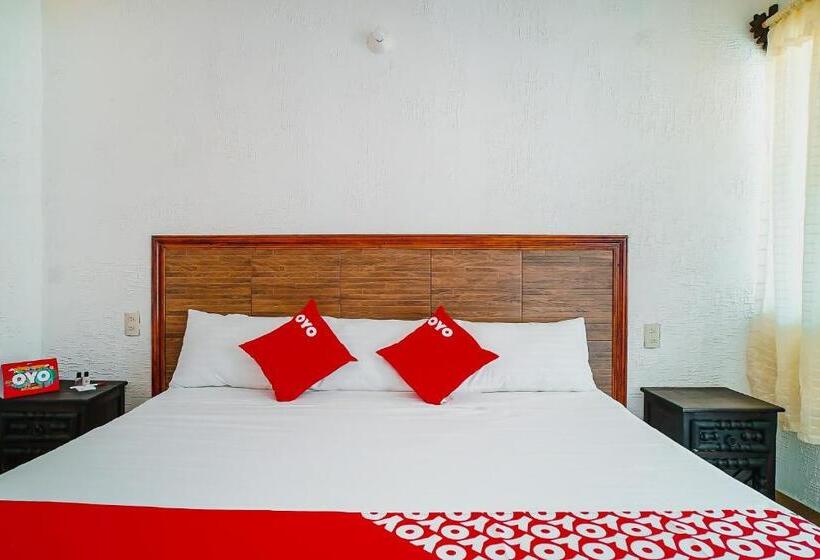 Standard Trippelrum, Hospedaje Colibrí