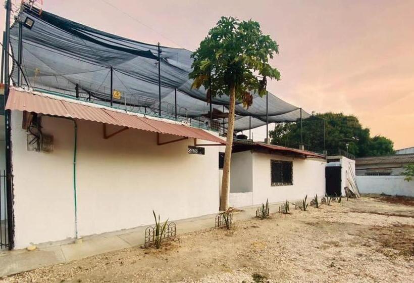Апартаменты 1 Спальня, Oasis De Tolú