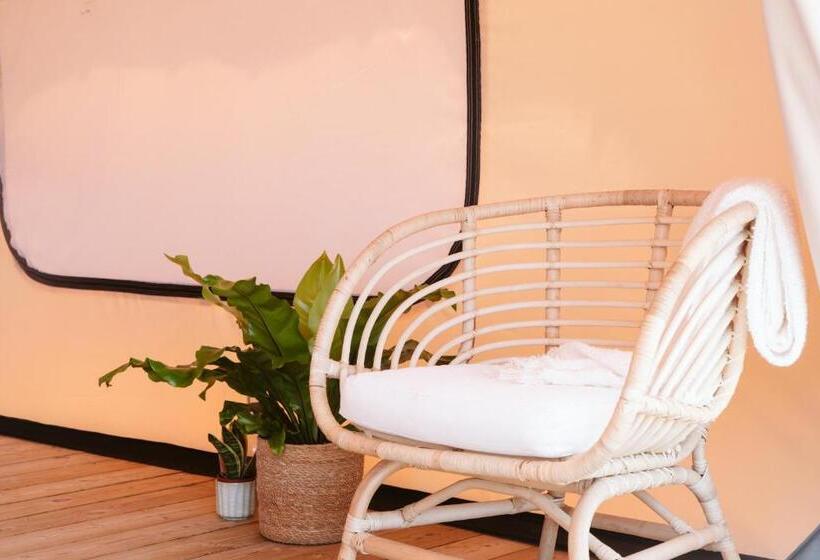 كوخ قياسي, Dreamsea Surf Guest House