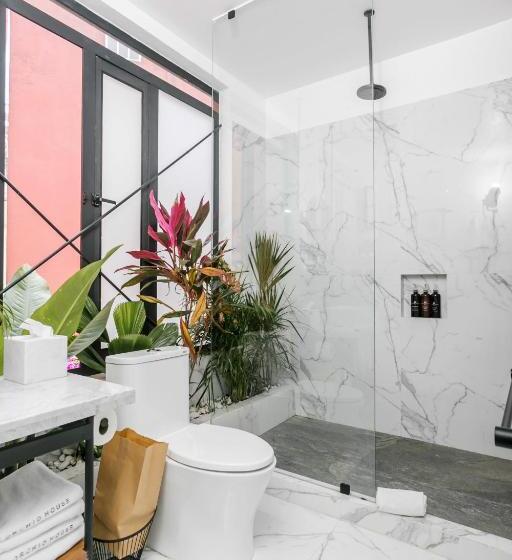 Люкс, Orchid House Polanco