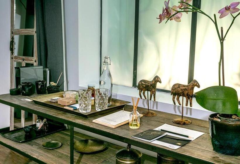 Люкс Повышенной Комфортности, Orchid House Polanco