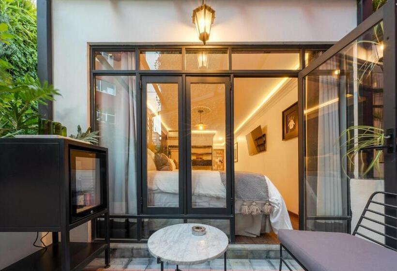 Номер Стандарт, Orchid House Polanco