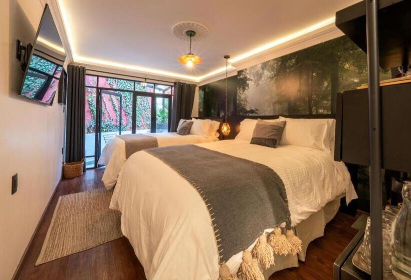 Номер Стандарт, Orchid House Polanco