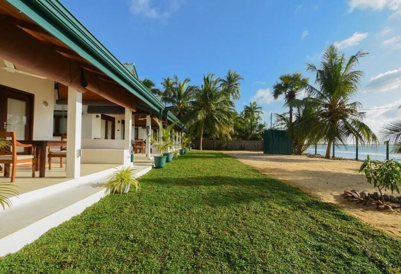 اتاق استاندارد, The Araliya Retreat