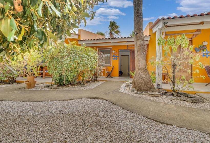 اتاق استاندارد با چشم‌انداز باغ, Tropical Divers Resort