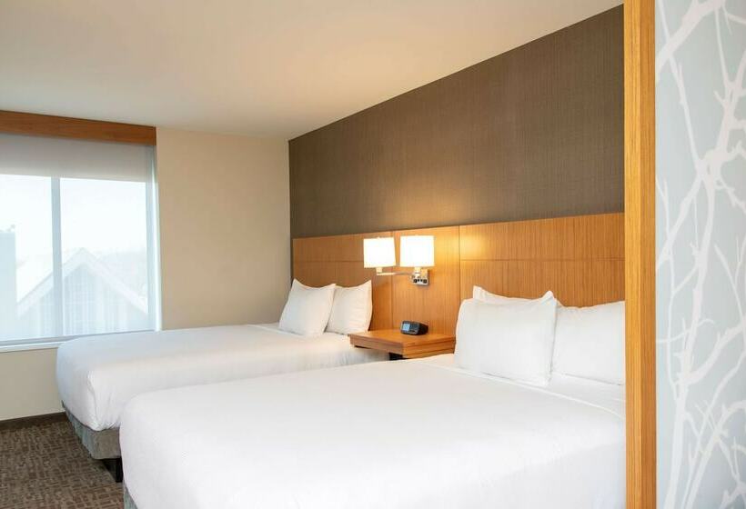 Номер Стандарт, Hyatt Place Detroit/royal Oak