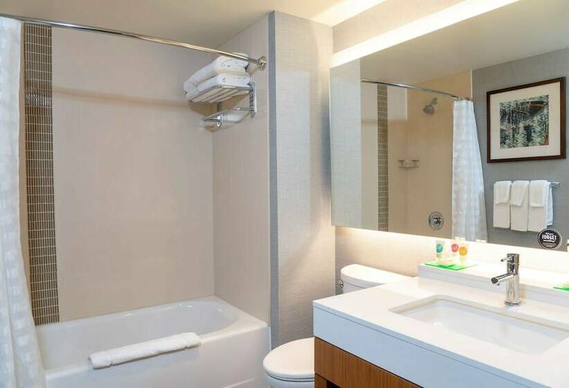 Quarto Estandar, Hyatt Place Detroit/royal Oak