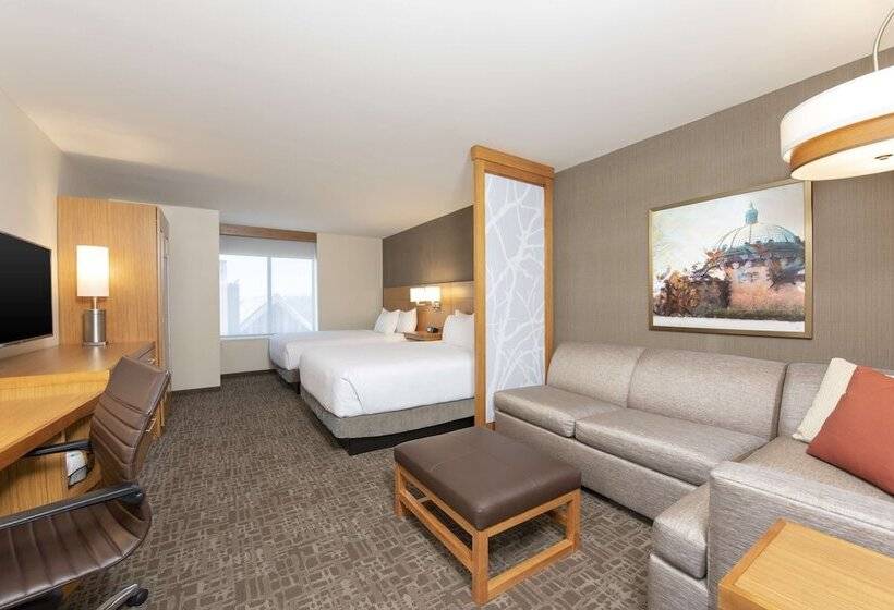 Quarto Estandar para Deficientes Físicos, Hyatt Place Detroit/royal Oak