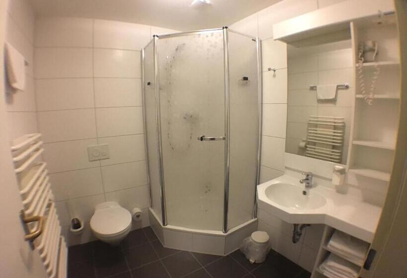 חדר סטנדרט יחיד, Motel Monteur