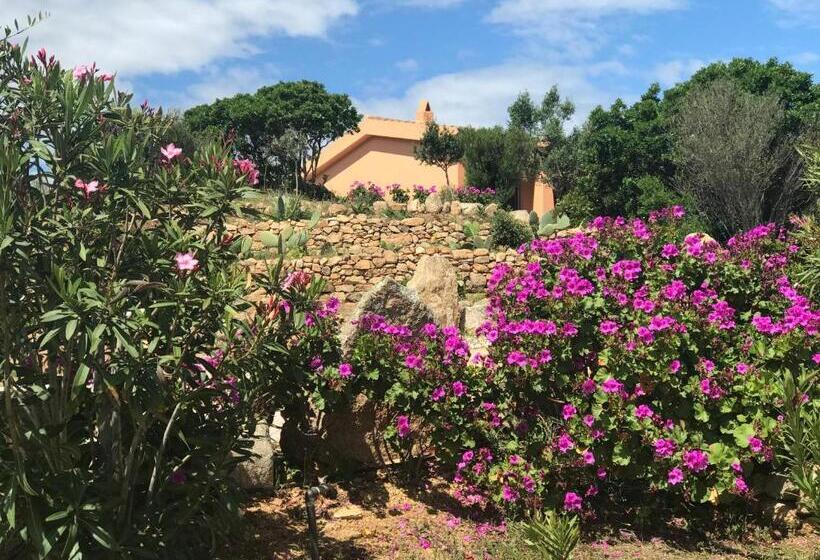 آپارتمان 1 خوابه با چشم‌انداز, Casagliana Suite Resort
