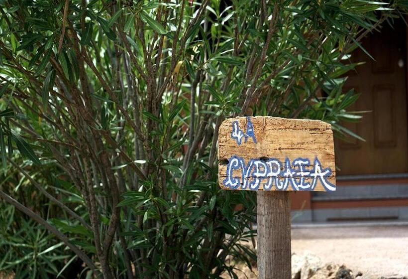 آپارتمان 1 خوابه با چشم‌انداز, Casagliana Suite Resort