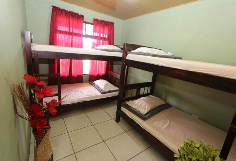 تختخواب در اتاق مشترک, Hostel Cattleya   Monteverde, Costa Rica