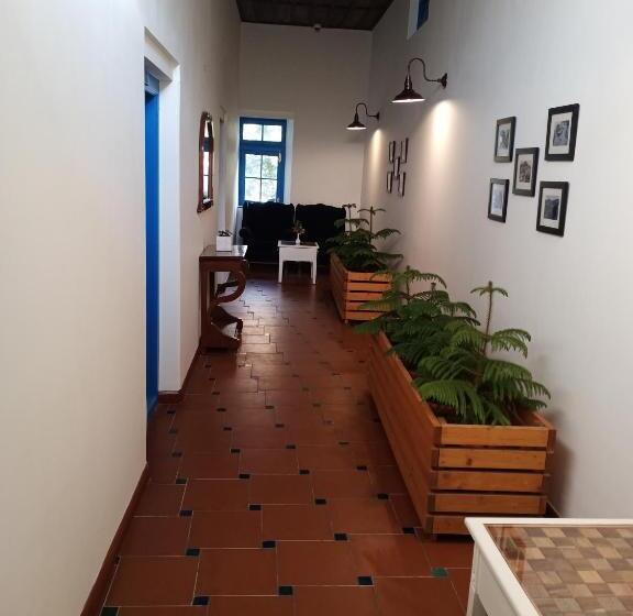 اتاق لوکس, Pine Retreat Mallroad