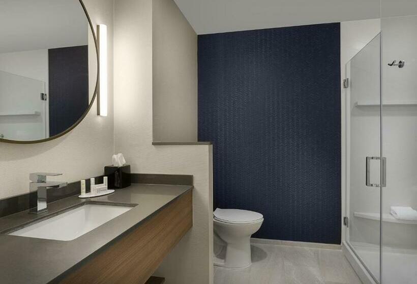 Стандартный Номер Кровать Кинг, Fairfield Inn & Suites By Marriott Shelby