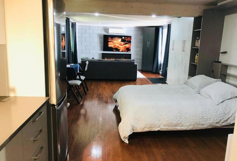 Апартаменты 1 Спальня, Loft Des Suites North Hatley