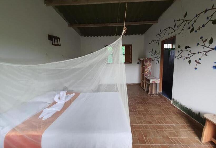 스탠다드 룸, Hostal Luz De Luna